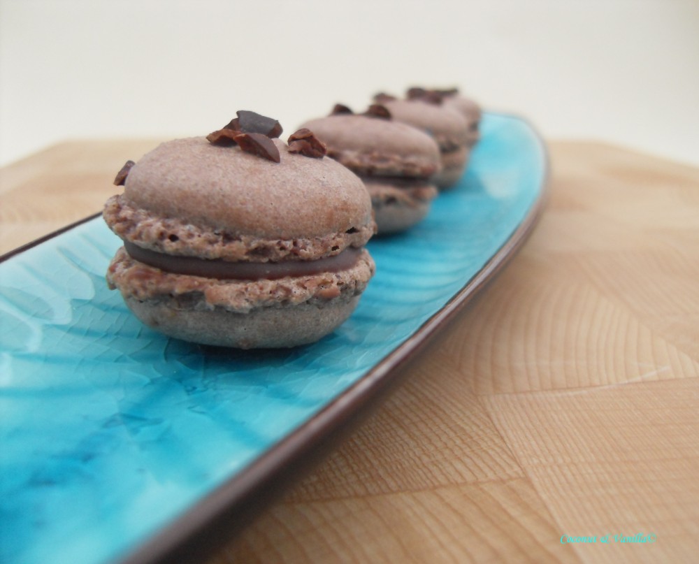 Chocolate Macarons with Raspberry Filling