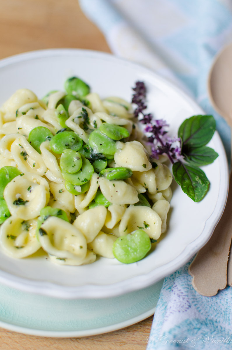 Orecchiette with fava beans and herbs