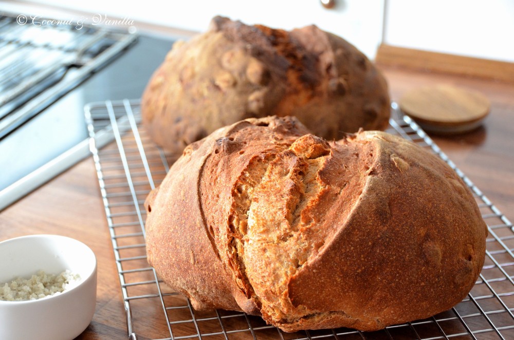 <!--:de-->Haselnussbrot<!--:--><!--:en-->Hazelnut Bread<!--:-->