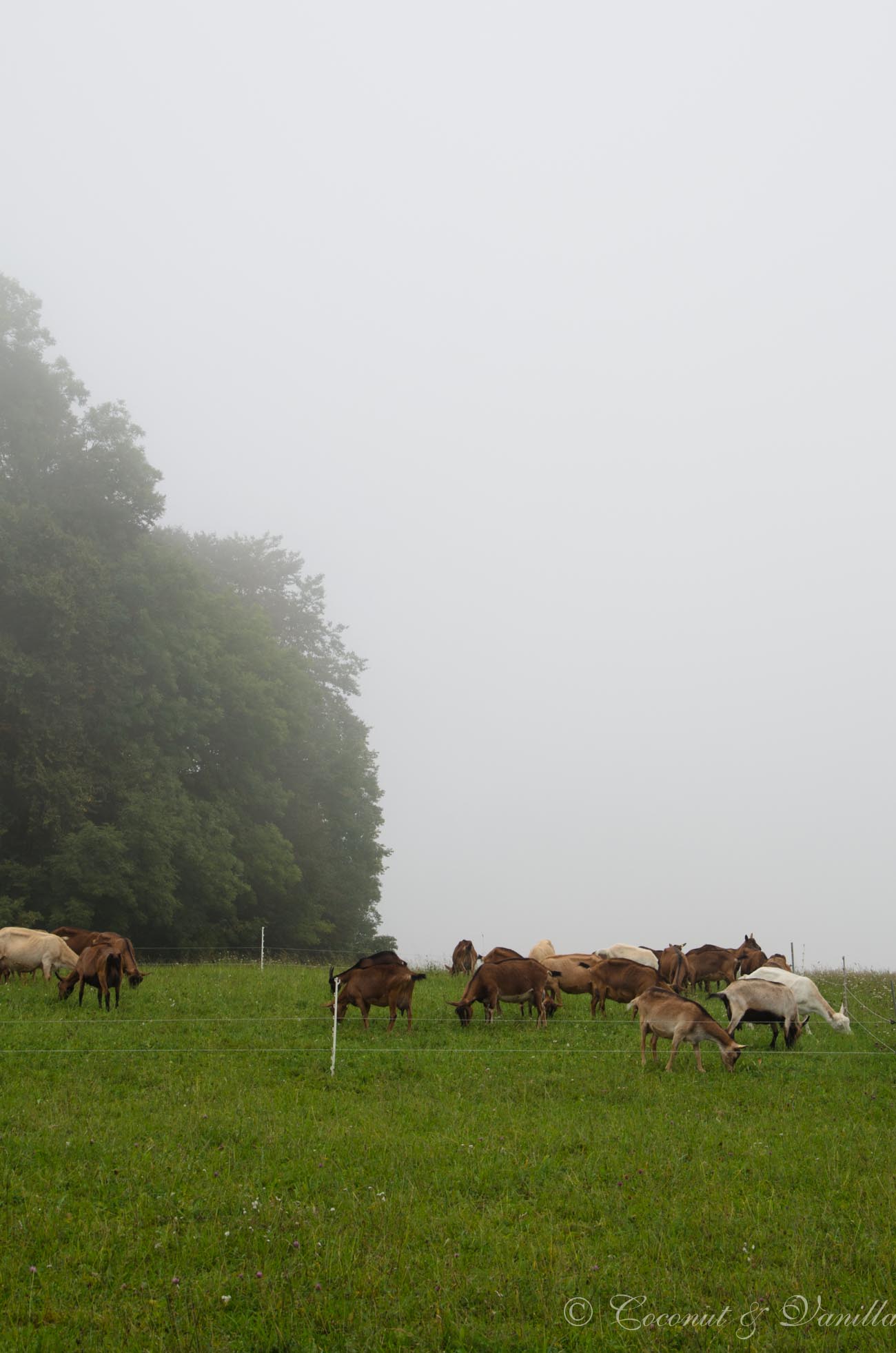 Lorettohof in Zwiefalten