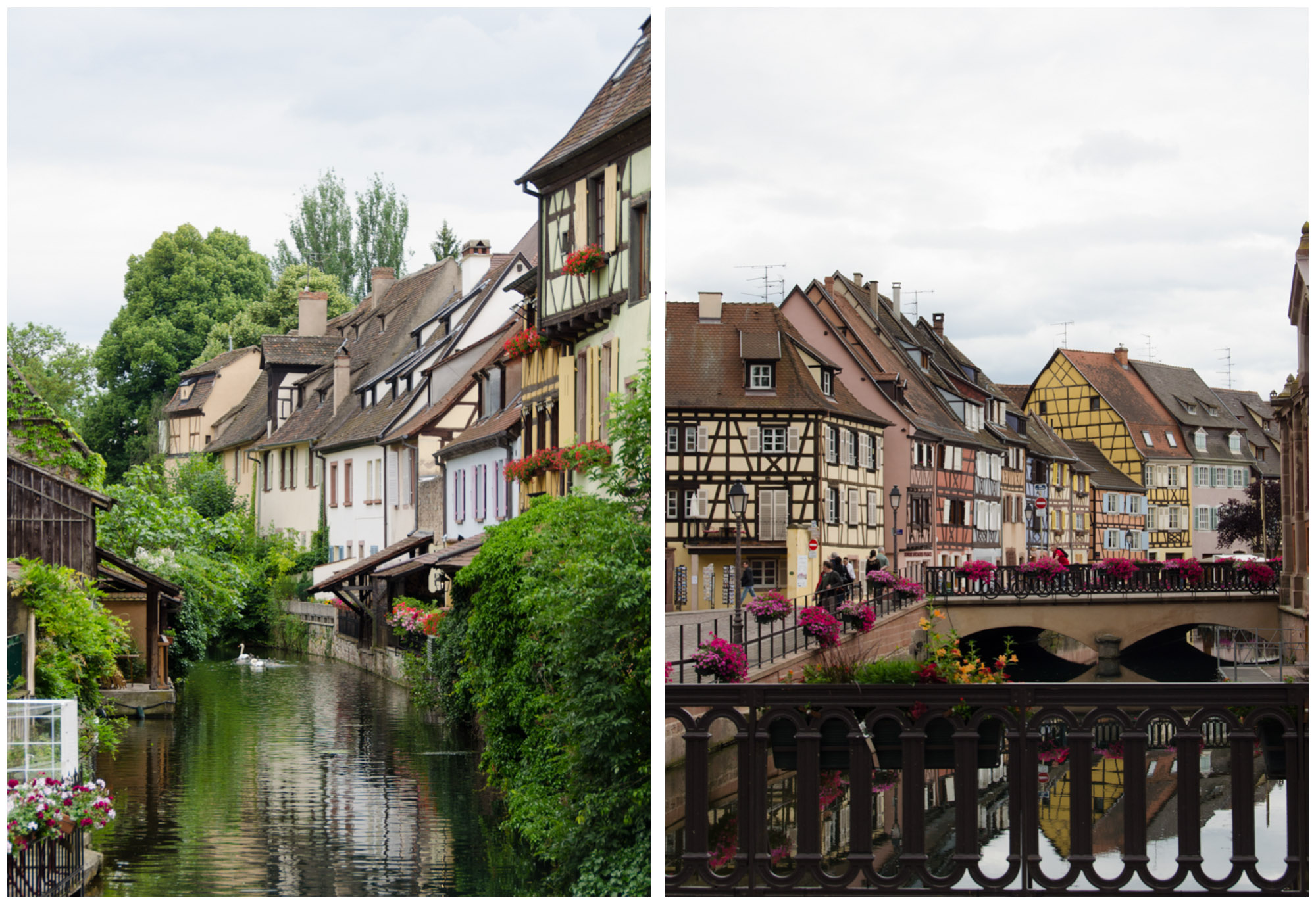 Colmar