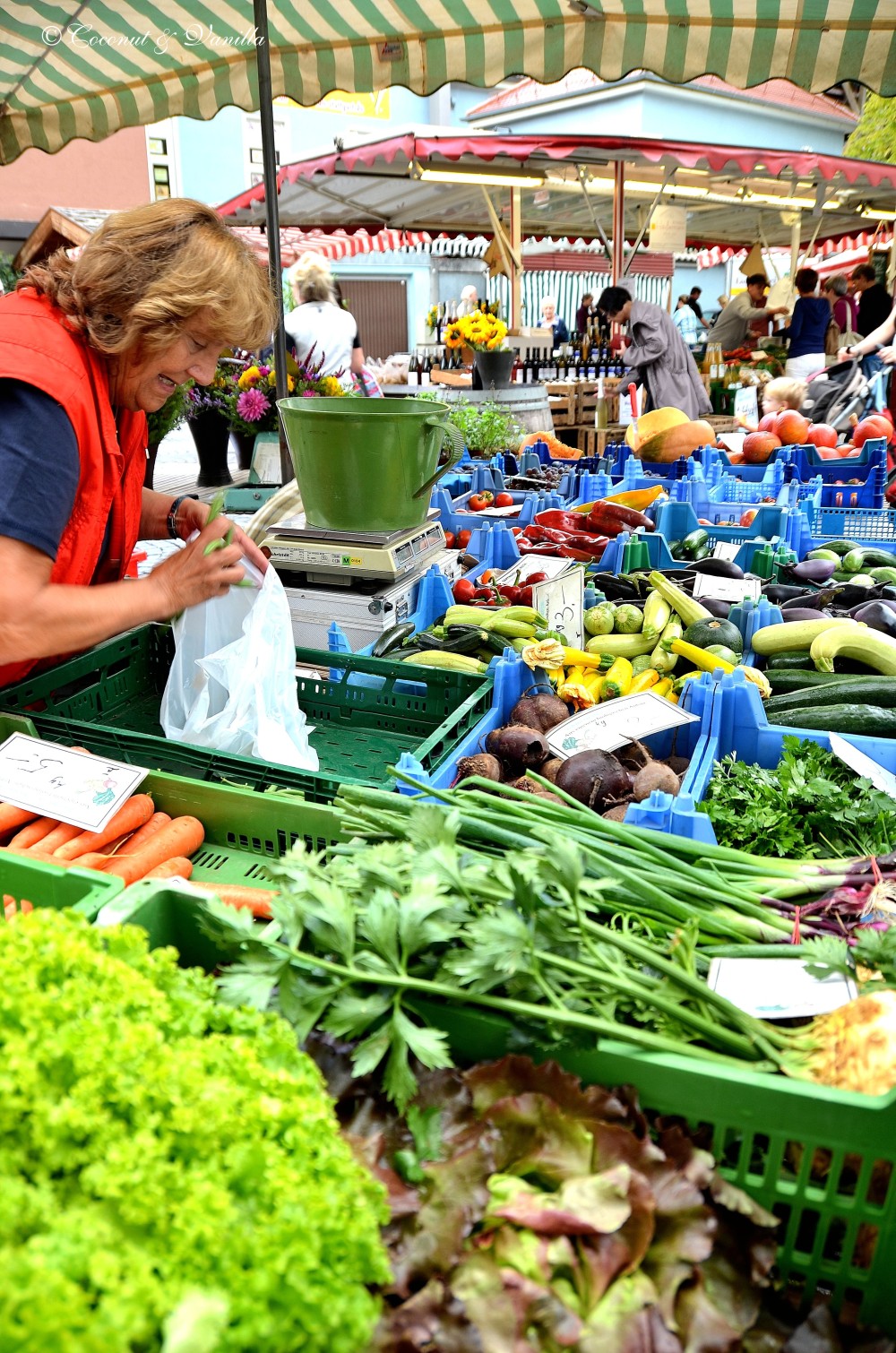 Markt - Gärtnerei Albeck