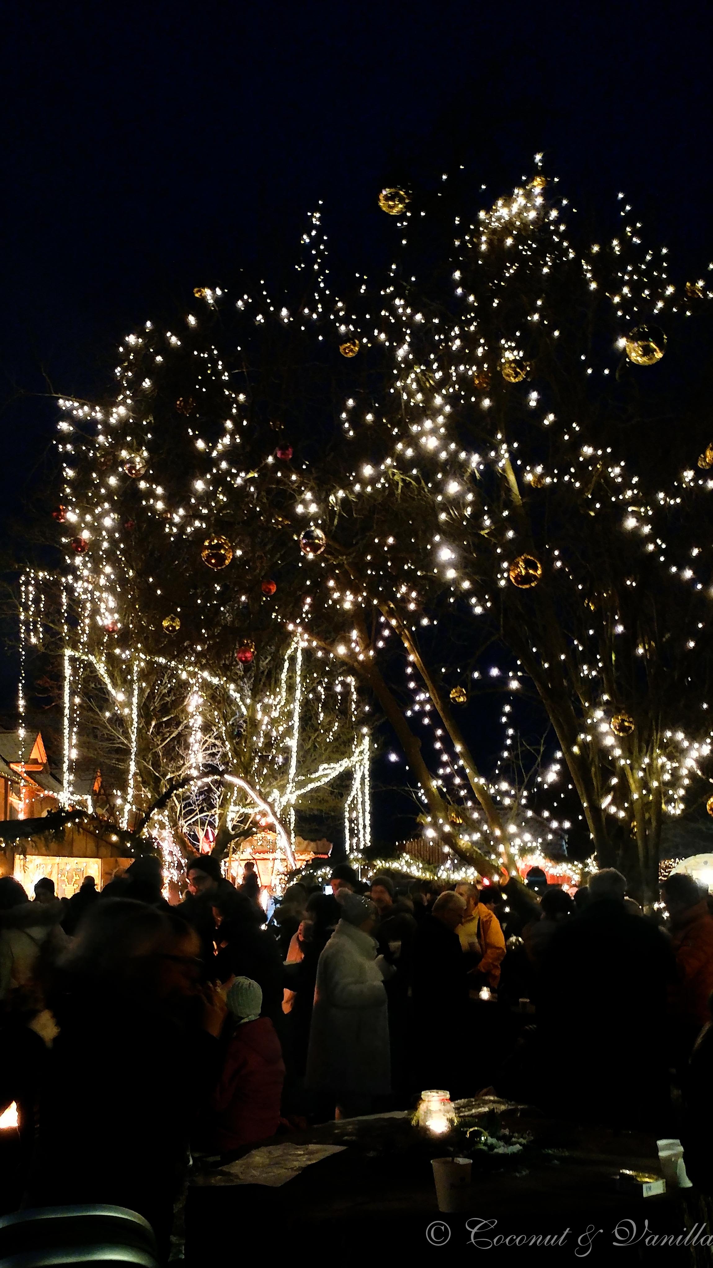 Romantischer Weihnachtsmarkt auf Gut Wolfgangshof in Anwanden/Zirndorf bei Fürth by Coconut & Vanilla