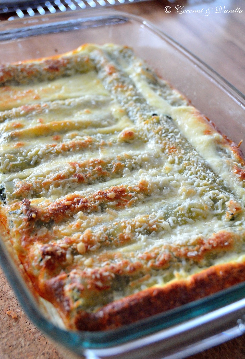 Cannelloni mit Spinat-Ricotta-Füllung