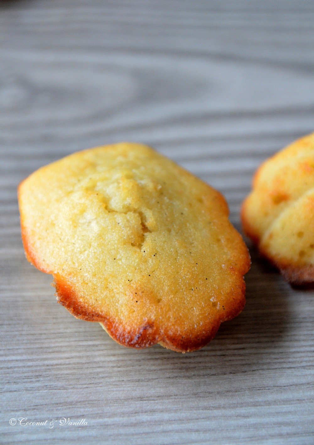 Apfel & Vanille Madeleines mit brauner Butter