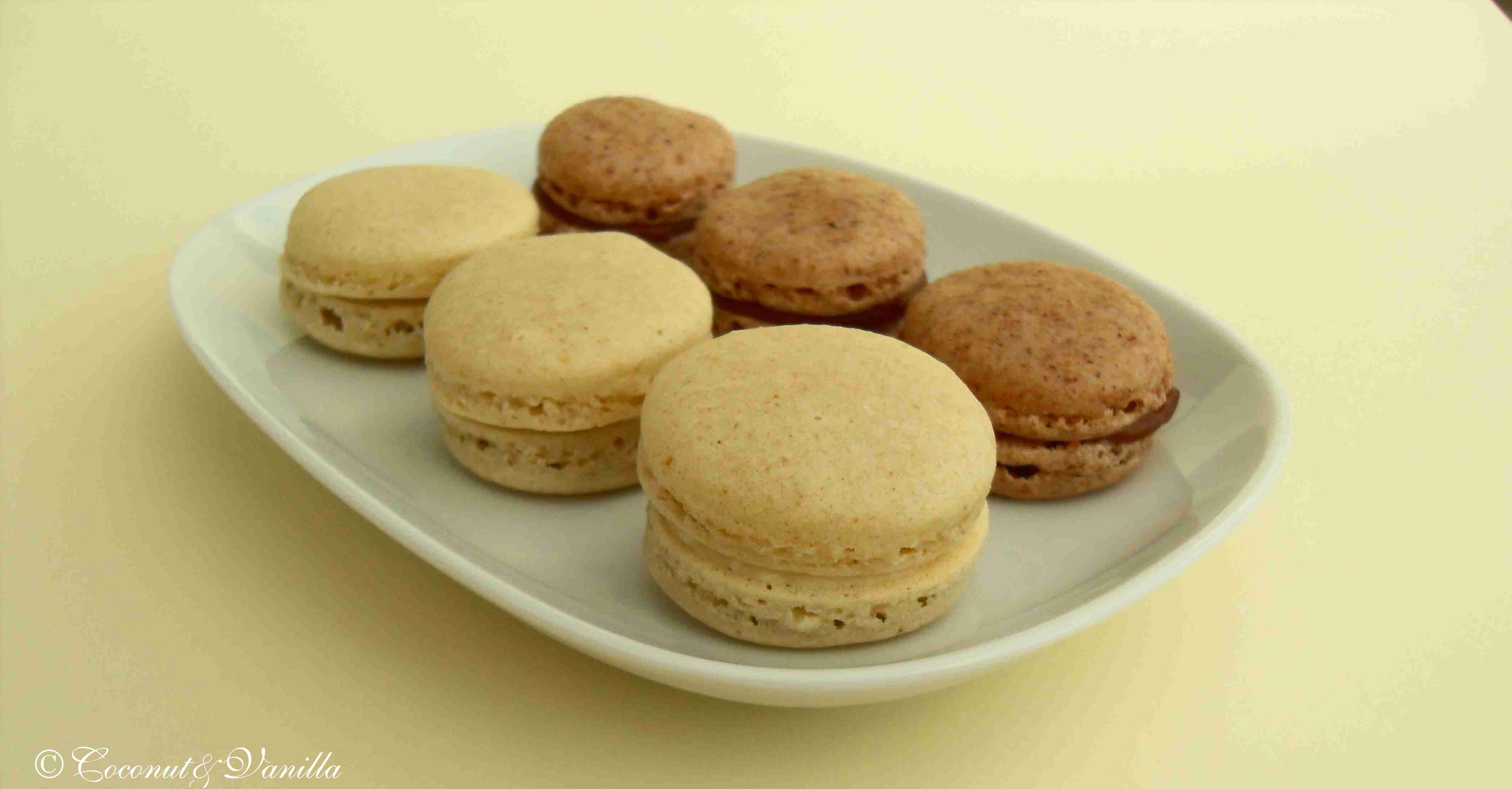 Sugar geek show macarons